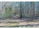 A natural wooded area provides a serene backdrop, enhancing the privacy and tranquility of the property's surroundings at 4050 Villagewood Ln, Ellenwood, GA 30294