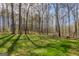 A beautiful, expansive backyard with mature trees, a manicured lawn, and a fenced perimeter at 65 Dundee Pl, Sharpsburg, GA 30277