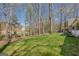Expansive backyard with lush green grass, mature trees, and a glimpse of the home's exterior at 65 Dundee Pl, Sharpsburg, GA 30277