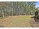 Large, wooded backyard featuring a mix of grassy areas and natural forest with mature trees at 410 Denton Cir, Fayetteville, GA 30215