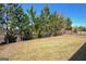 A lovely backyard lined with pine trees and iron fencing, offering privacy and natural beauty at 108 Mulberry Ct, Peachtree City, GA 30269