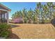 Spacious backyard with lush green lawn and mature trees, great for outdoor activities and relaxation at 108 Mulberry Ct, Peachtree City, GA 30269