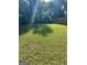 Spacious backyard with abundant greenery, perfect for outdoor activities and relaxation at 466 Joseph E Lowery Nw Blvd, Atlanta, GA 30314