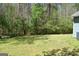 Expansive grassy backyard surrounded by trees, ideal for recreation at 121 Juniper Dr, Mcdonough, GA 30253