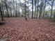 Expansive wooded lot offers privacy and a natural setting for outdoor activities at 260 Countryside Ln, Covington, GA 30016