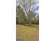 Extensive backyard featuring mature trees, a landscaped area, and ample green space at 248 Valley Way, Hampton, GA 30228