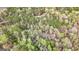 Lush, dense forest aerial view with home hardly visible beneath, showcasing the property's privacy and natural setting at 575 Chuli Rd, Locust Grove, GA 30248