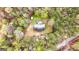 Aerial view of a secluded property with a home, shed, and above ground pool surrounded by dense trees at 575 Chuli Rd, Locust Grove, GA 30248
