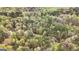 Extensive aerial view showing a home and shed with pool surrounded by a lush and dense forest landscape at 575 Chuli Rd, Locust Grove, GA 30248