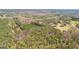 Wide aerial shot revealing a vast expanse of trees and verdant landscape at 275 S Bethany Rd, Mcdonough, GA 30252