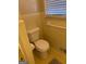Toilet area with yellow tile and accents, towel bar, and view of the sink and vanity at 2533 Whispering Pines Dr, Grayson, GA 30017