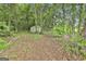 Backyard with a small shed tucked into the trees at 2112 Highway 54, Moreland, GA 30259