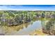 Scenic aerial view showcasing the lakefront property surrounded by lush, mature trees at 313 Dingler Rd, Moreland, GA 30259