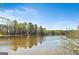Beautiful lake view with lush greenery, perfect for nature lovers at 313 Dingler Rd, Moreland, GA 30259