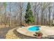Backyard pool surrounded by mature trees and landscaping offers a private outdoor oasis at 313 Dingler Rd, Moreland, GA 30259