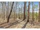Wooded lot and a walking path at 313 Dingler Rd, Moreland, GA 30259