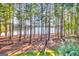 Picturesque backyard showcases mature trees and lake views providing a serene outdoor escape at 504 Telfair Park, Peachtree City, GA 30269