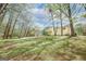 Large backyard with mature trees and a spacious lawn at 319 Honeysuckle Ter, Auburn, GA 30011