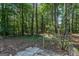 Backyard shot with natural greenery, mature trees and a wooden fence at 204 Mitchell Rd, Fayetteville, GA 30214