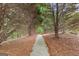 Picturesque walking path with a canopy of trees, perfect for a relaxing stroll through nature at 368 Yellowwood Dr, Sharpsburg, GA 30277