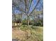 A picturesque backyard with mature trees and lush greenery offering a serene outdoor space at 240 Carsons Cv, Mcdonough, GA 30253