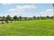 Picture of the green grass in the backyard with an adjacent street and a couple of houses in the distance at 864 Maduro Way, Mcdonough, GA 30253