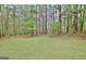 The backyard features a lush lawn surrounded by mature trees and greenery at 212 Bella Rosa, Peachtree City, GA 30269