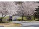 Scenic golf course view with a golf cart driving under flowering trees on a paved path at 212 Bella Rosa, Peachtree City, GA 30269