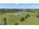 Aerial view of home showing expansive lot, long driveway, fenced-in pool, and landscaped backyard at 176 Butler Rd, Brooks, GA 30205