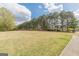 Extensive community green space with mature trees, well-maintained lawn, and a walking path at 217 Brunswick Dr, Tyrone, GA 30290