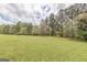 Expansive green community space features a swing set nestled amongst mature trees and a peaceful ambience at 217 Brunswick Dr, Tyrone, GA 30290
