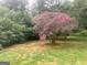 Large backyard with a beautiful flowering tree in full bloom, adding color and vibrancy at 1079 Pine Ne St, Conyers, GA 30012