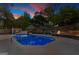 Backyard at dusk features a pool, shed, seating, and privacy fence with string lights at 205 Raintree Bnd, Peachtree City, GA 30269
