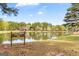 Scenic view of Huddleston Pond, surrounded by lush greenery and mature trees, a tranquil community space at 205 Raintree Bnd, Peachtree City, GA 30269