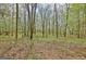 Scenic wooded area in the backyard at 285 Broadmoor Dr, Fayetteville, GA 30215