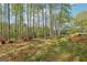 Large private backyard with tall trees and natural landscaping features at 2014 Big Cypress Ln, Locust Grove, GA 30248
