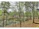 Backyard pond view with a natural and tranquil setting at 3230 Riverhill Ct, Cumming, GA 30041