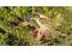 Expansive aerial view reveals a lush, wooded property with a vibrant green home, pool, and detached structure at 168 Lakeview Dr, Grantville, GA 30220