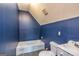 Bathroom with blue walls, a bathtub, a toilet and a vanity sink at 170 Austin Oaks Dr, Ellenwood, GA 30294