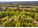 An aerial shot of the verdant, sprawling landscape, revealing neighborhood homes surrounded by towering trees at 1015 Middlebrook Dr, Mcdonough, GA 30252