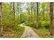Winding gravel driveway through a lush green forest, leading to a secluded property at 1015 Middlebrook Dr, Mcdonough, GA 30252