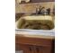Close up of yellow kitchen sink, with a stained basin at 8395 Rivertown Rd, Fairburn, GA 30213