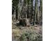 An above ground structure covered by foliage in wooded area at 8395 Rivertown Rd, Fairburn, GA 30213