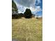 Expansive backyard featuring a well-manicured lawn, mature tree, and a wooden fence for privacy at 55 Long Dr, Covington, GA 30016