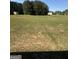 Large backyard with lush green grass and mature trees offers plenty of space at 110 Broadwater Dr, Fayetteville, GA 30214