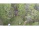 Aerial view showcases the private home amid mature trees and greenery at 655 Sunset Dr, Locust Grove, GA 30248