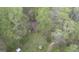 Aerial view of property surrounded by mature trees and creek at 655 Sunset Dr, Locust Grove, GA 30248