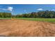 View of expansive, undeveloped grassy land ready for construction or recreational use at 3011 Broughton Rd, Newborn, GA 30056