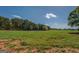 Expansive grassy field with trees under a clear blue sky, offering potential for development at 3011 Broughton Rd, Newborn, GA 30056