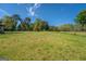 Expansive grassy field with mature trees and a clear blue sky, showcasing the property's open land and natural beauty at 3011 Broughton Rd, Newborn, GA 30056